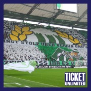 Vfl Wolfsburg - 1. FSV Mainz 05